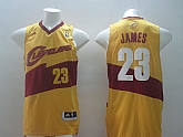 Cleveland Cavaliers #23 LeBron James 2014 Revolution 30 Swingman Yellow Jerseys,baseball caps,new era cap wholesale,wholesale hats