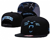 Panthers Team Logo Black Adjustable Hat GS,baseball caps,new era cap wholesale,wholesale hats