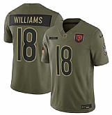 Men's Chicago Bears #18 Caleb Williams Olive 2025 Salute to Service Limited Stitched Jersey Dyin,baseball caps,new era cap wholesale,wholesale hats